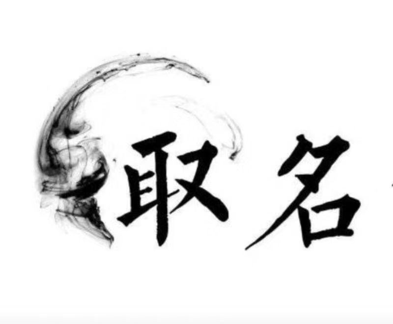 顺庆宝宝取名 大师一对一人工起名