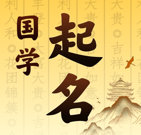 顺庆国学起名 人工起名一对一